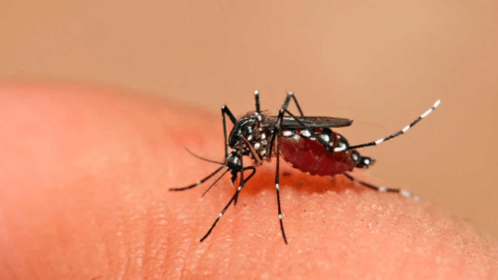 Fallece un niño por dengue en Oaxaca