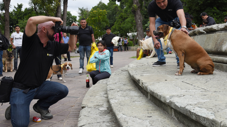 Llega el Nikon Foto Quest Tour 2018 a Oaxaca