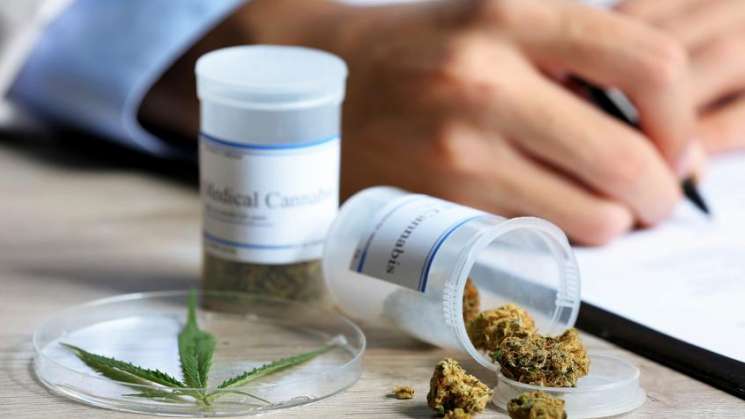  Para combatir la epilepsia, estudian uso de marihuana