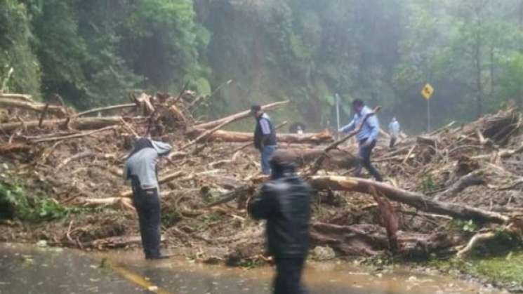 Por lluvias, exigen declaratoria de emergencia en Chimalapas