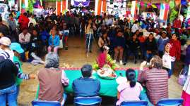 Puente a la Salud Comunitaria