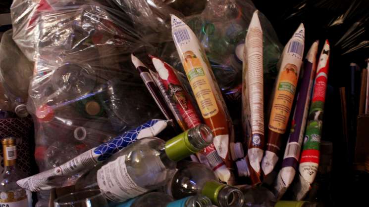 Intercambian materiales reciclables por árboles frutales