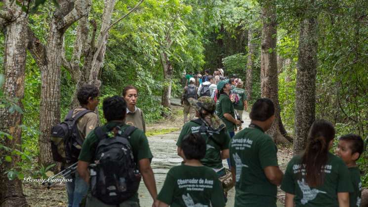 Realizan Tercer Festival de las Aves en Oaxaca