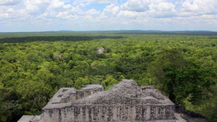 En 6 años, México triplicó su territorio protegido 