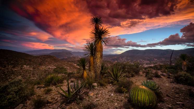Se creara ruta turística Tehuacán-Oaxaca