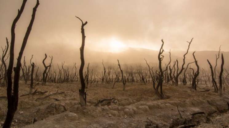 Clima va a ser como hace tres millones de años en el 2030