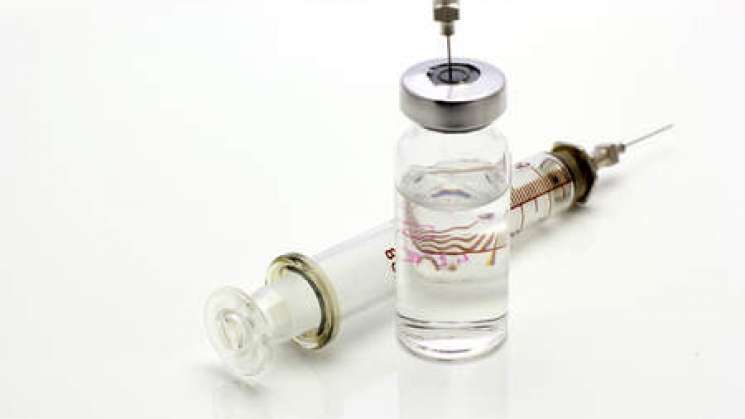 Células madre, entre la estafa y la ciencia