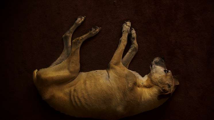 CFMAB despide el 2018 con exposición fotográfica 