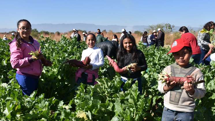 Niñas y niños participan en la tradicional Noche de Rábanos   