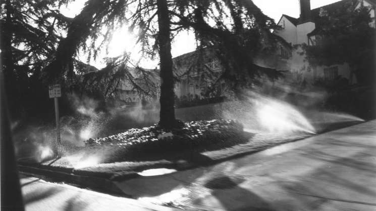 CaSa y UABJO impulsan Programa de fotografía documental