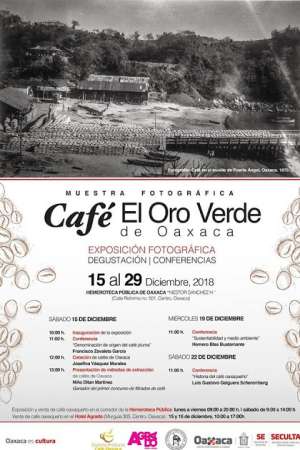 Cafe, el oro verde de Oaxaca