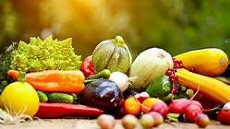 México es cuarto productor mundial de alimentos orgánicos