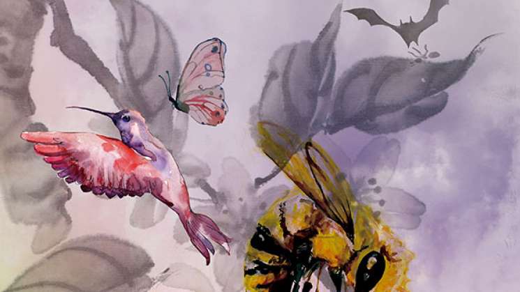 Animales, basicos en la polinización y seguridad alimentación