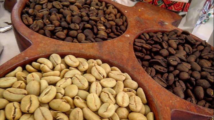 Oaxaca, líder en producción nacional de café