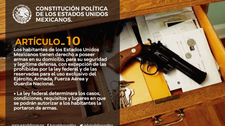 Por decreto se podrá portar armas en el domicilio