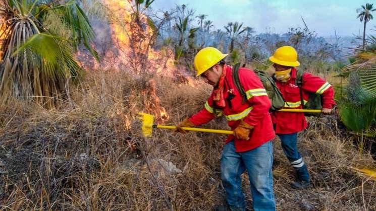 Incendiadas más 30 mil hectáreas en Oaxaca y Querétaro