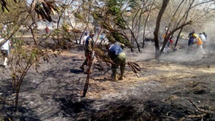Hay activos 7 incendios forestales en Oaxaca