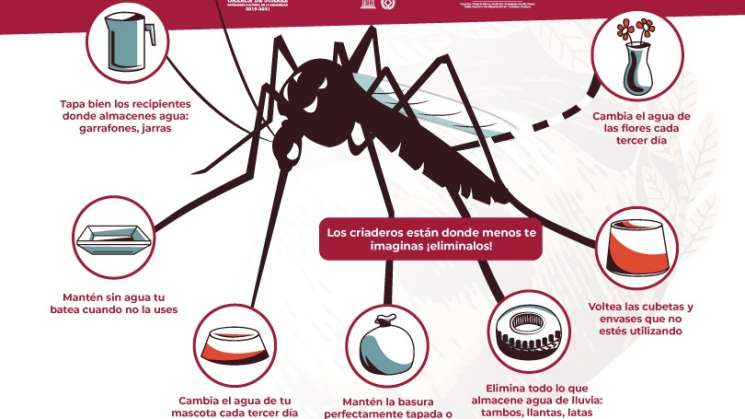 Evita riesgos de contagio de dengue, zika y chikungunya
