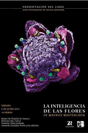“La inteligencia de las flores” de Maurice Maeterlinck