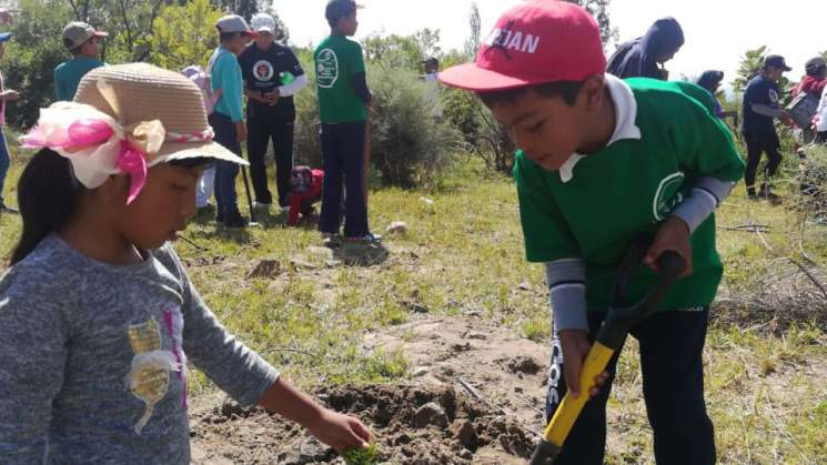 Destaca Oaxaca por su biodiversidad natural a nivel nacional
