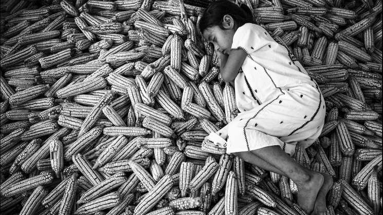  Juan Carlos Reyes /cuartoscuro