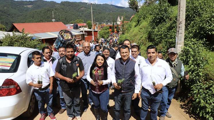 Conmemoran  Día del Árbol en San Mateo Río Hondo,Oaxaca