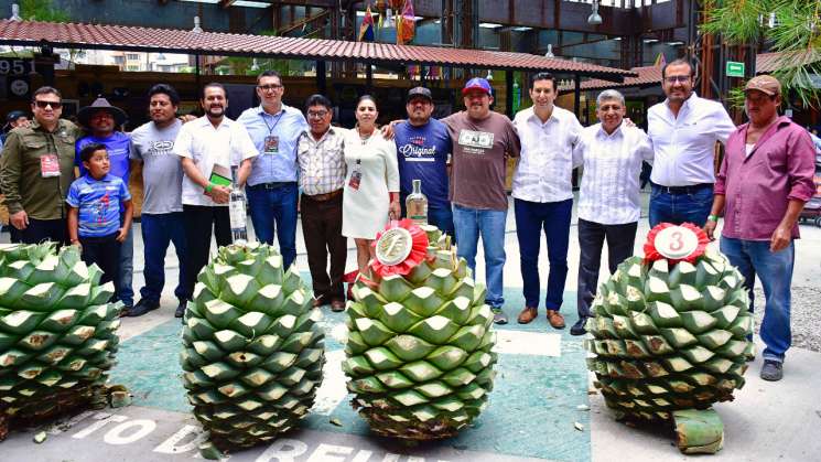 Feria del Mezcal, premian a “La piña de maguey más grande°