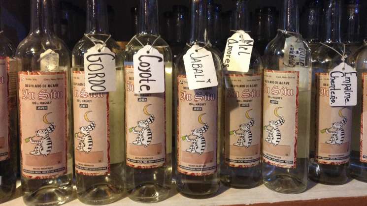 Oaxaca por  Récord Guinness: mayor número de etiquetas de mezcal