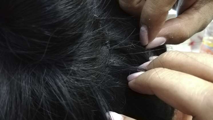 Exhorta SSO llevar a cabo medidas preventivas para evitar piojos