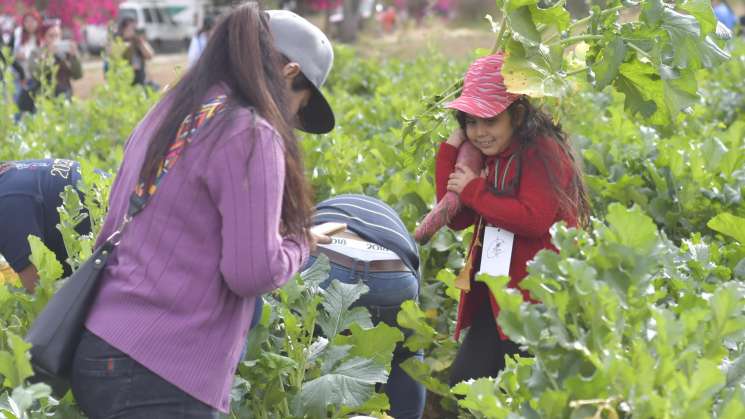 Niñez participa en la Tradicional Noche de Rábanos