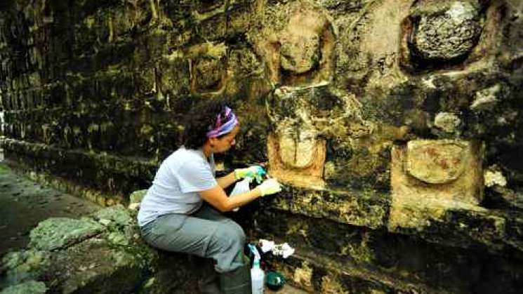 INAH  confirma existencia de palacio en zona de Kulubá, Yucatán