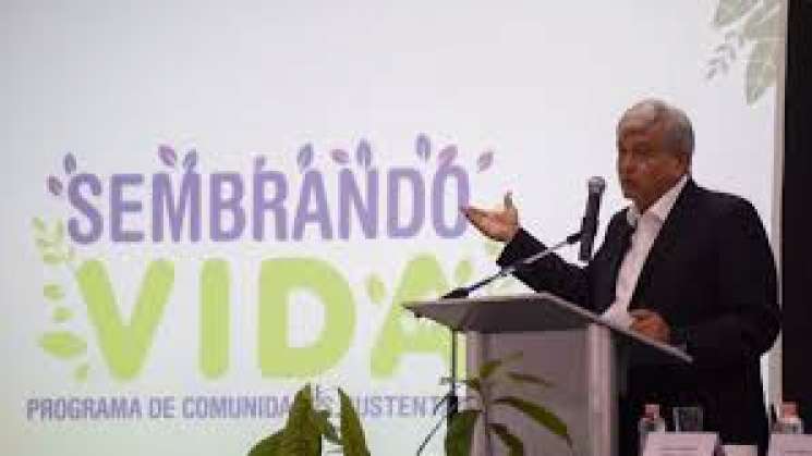 AMLO: Oaxaca será incluido en el programa Sembrando Vida