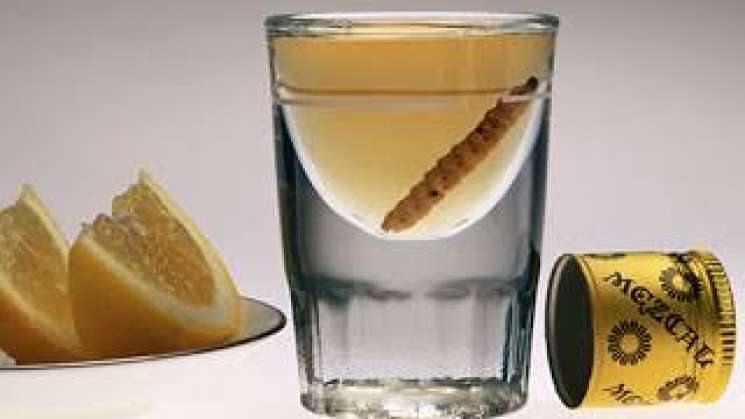 El mezcal tradicional está en crisis