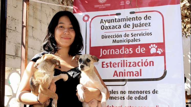 Realizan jornada de Esterilización Animal en capital oaxaqueña
