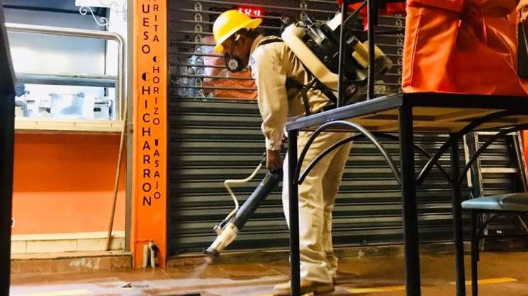 No dejes que los mosquitos entren a tu casa: SSO