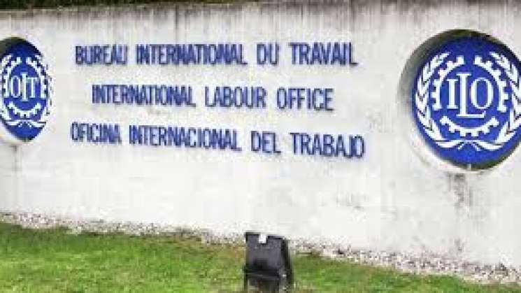 Lanza OIT guía para prevenir COVID-19 en sector agrícola