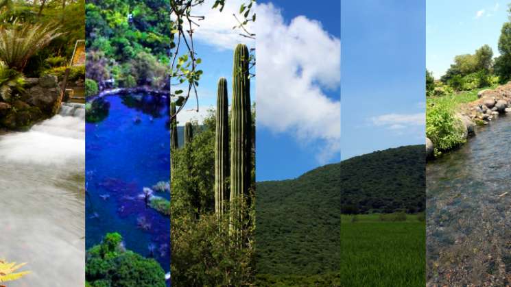 Areas naturales protegidas en Mexico sin recursos 