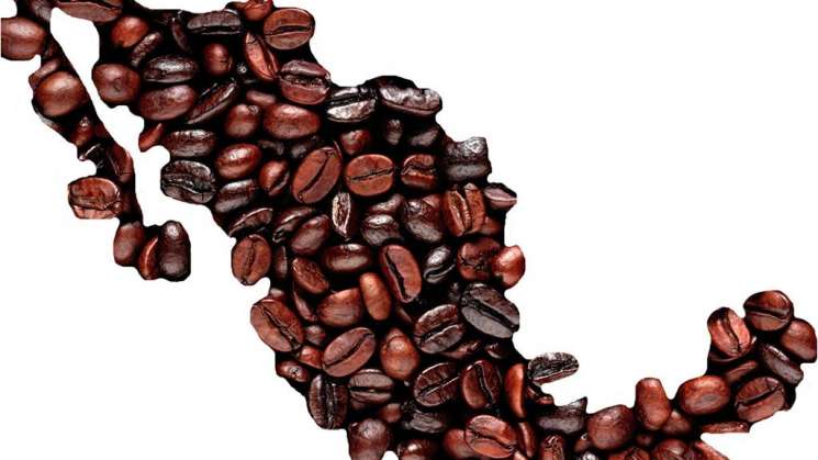 OIT publica estudio en cadena mundial de valor del café de México