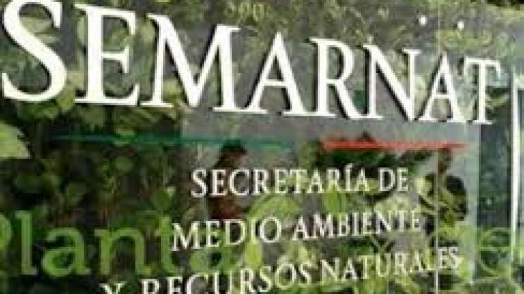 Piden elevar presupuesto asignado a la Semarnat para 2021