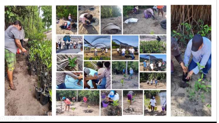 Coordina Semaedeso atención al sistema lagunar de Manialtepec   