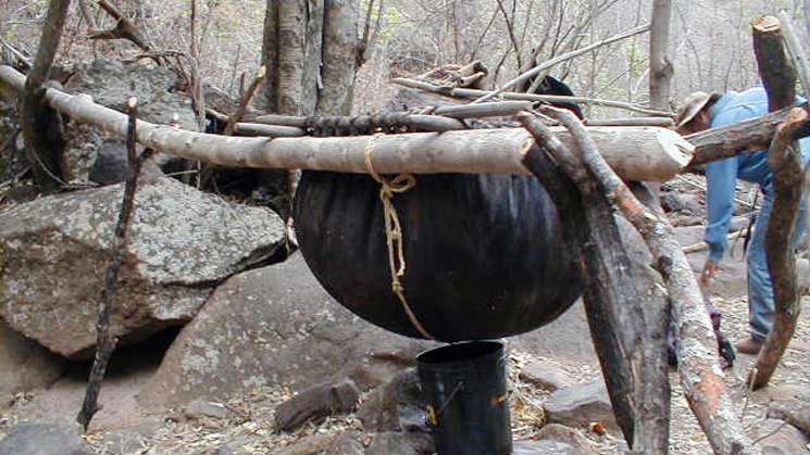 Destilación de mezcal ya era usado por prehispánicos: UNAM