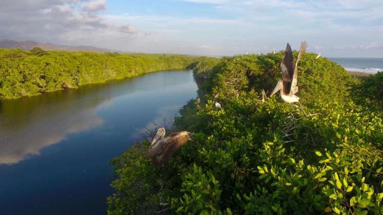 Oaxaca, estado privilegiado en Patrimonio Biocultural