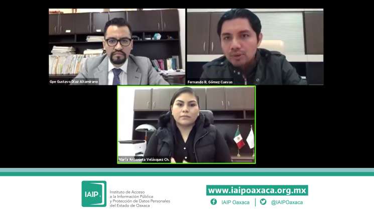 IAIP  resuelve en sesión pública 23 recursos de revisión