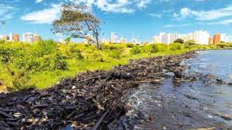 Causó calentamiento global fenómenos sin precedente este año