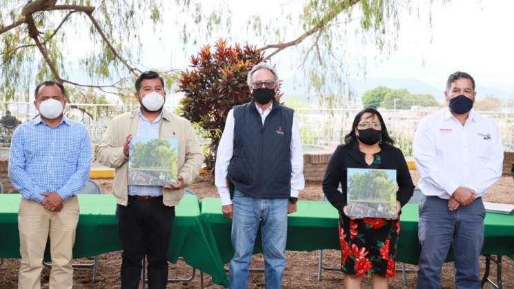 Exaltan comunidades con Árboles Notables catálogo de Semaedeso
