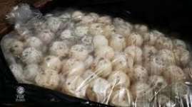 Secretaria de Marina