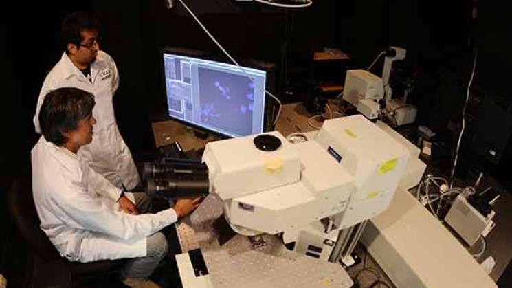 UNAM desarrolla procesamiento de imágenes con AI