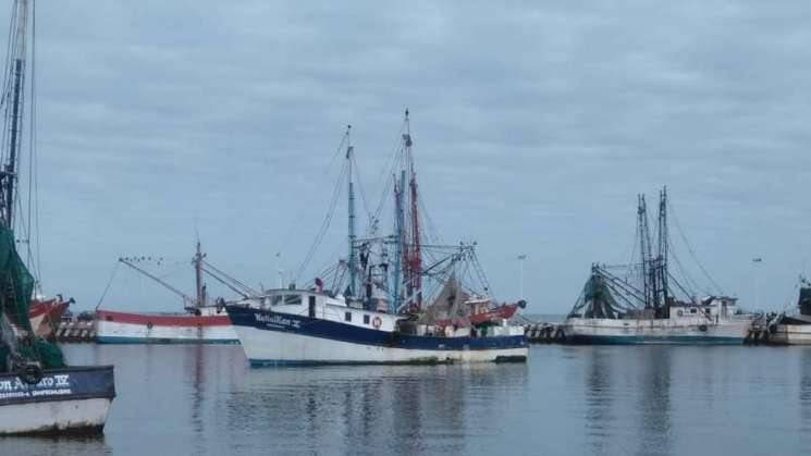 Fortalecen gobernanza para una pesca sostenible de camarón rosado