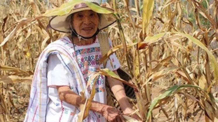 Presentan serie audiovisual