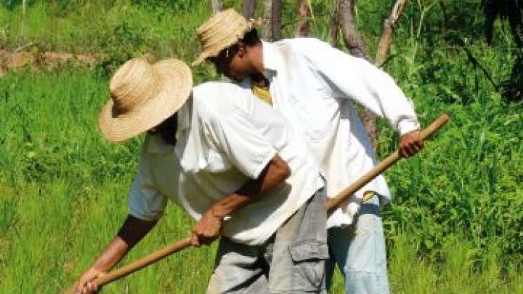 Establecen México y EU  estrategia en seguridad alimentaria